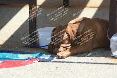 media/May-13-2023-Speed Ventures (Sat) [[03fd9661ba]]/Around the Pits/